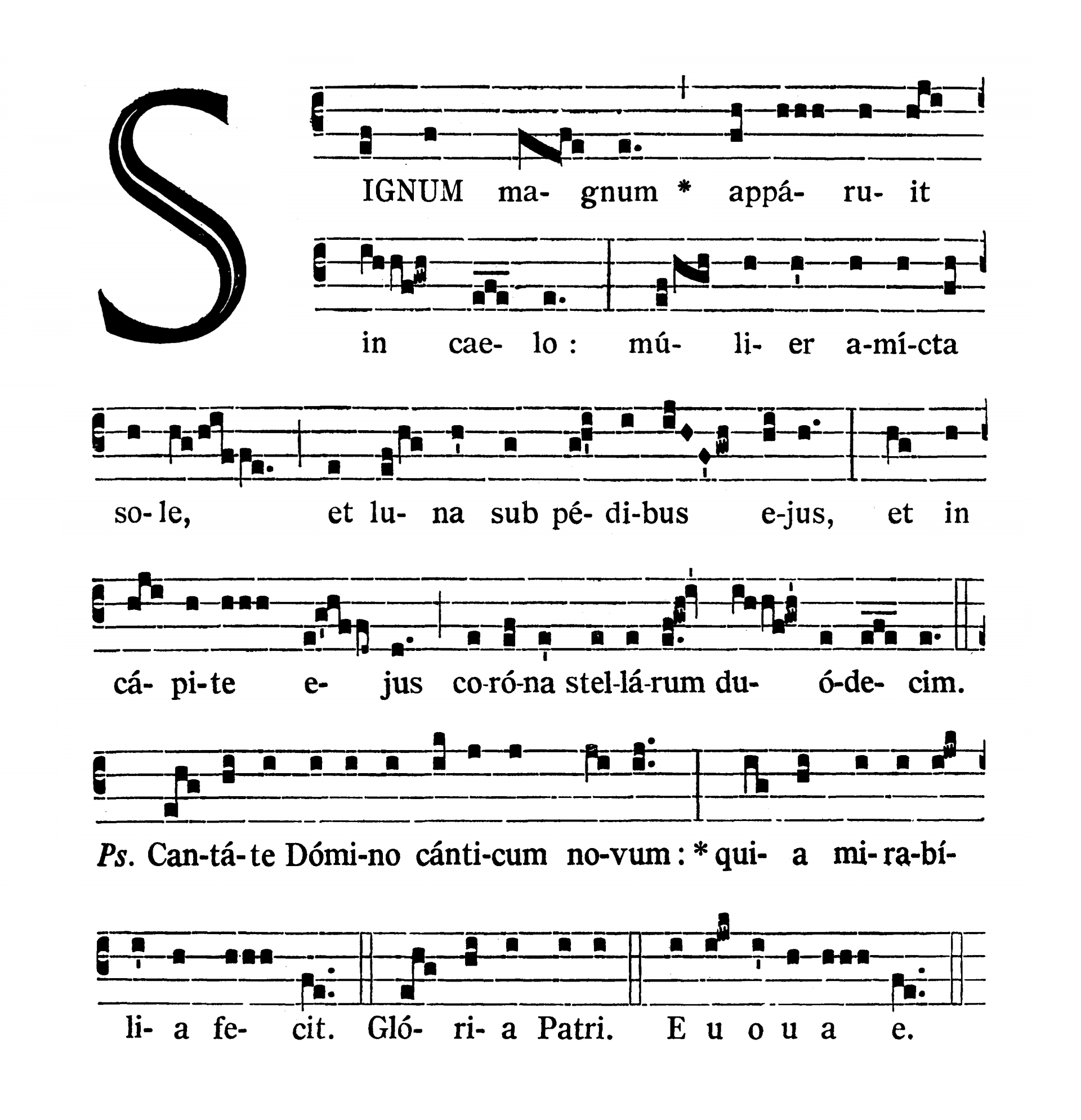 In Assumptione Beatae Mariae Virginis - Introitus (Signum magnum)