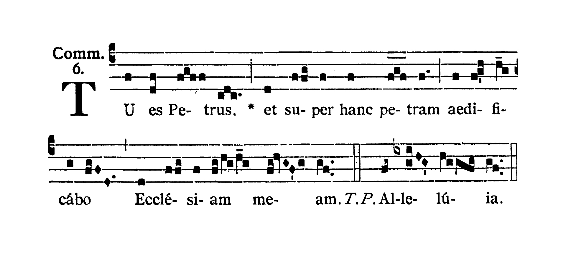 Sancti Telesphori Papae et Martyris - Communio (Tu es Petrus)